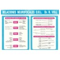 Lámina Relaciones Neurofocales (Dr. VOLL) (DINA3)