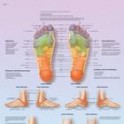 Lámina Reflexología del Pie (3B) (50x67 cm)